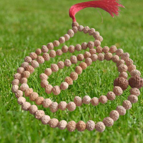 Tasbih Biji Bidara  Asli dengan Tali Merah Natural dan Berkualitas Tinggi untuk Doa dan
