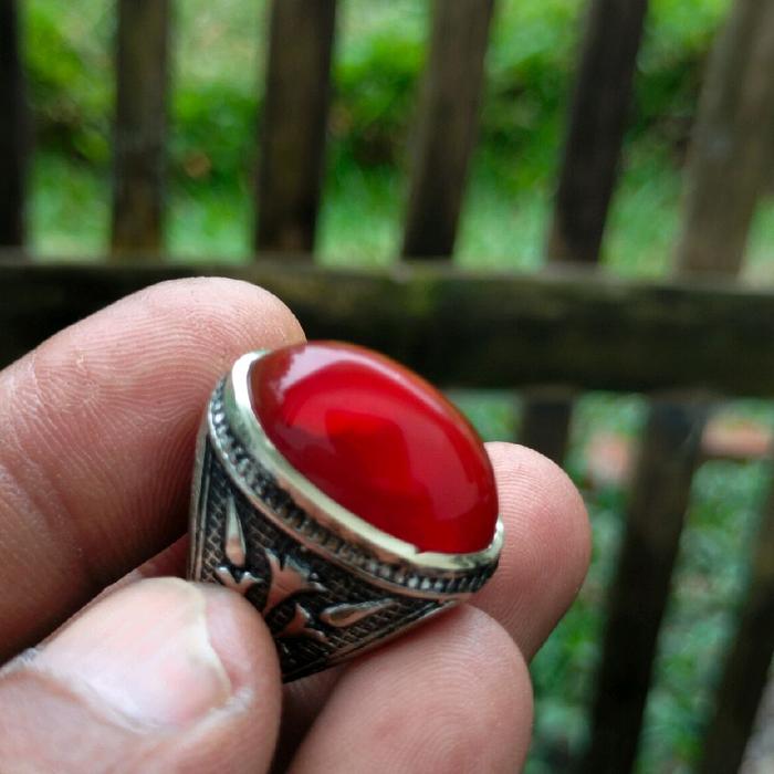 pandan merah jambalng super
