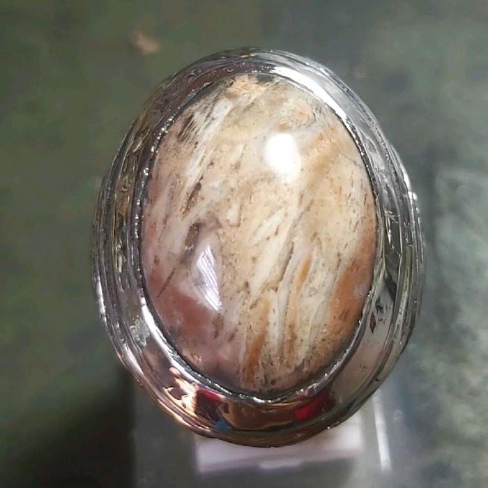 Fosil Kayu Nagasari - Cincin Batu Akik