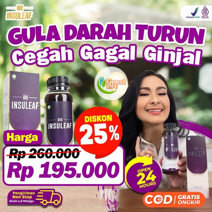 Bio Insuleaf - Cegah Gagal Ginjal Diabetes Melitus Kurangi Kadar