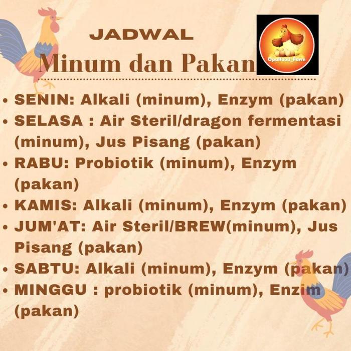B 50 FORTEN & Super Fit Plus Obat Memperkuat Tulang Ayam Multivitamin