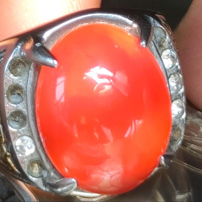 Batu Cincin Red Arwana Asli Kalimantan - Model Rings