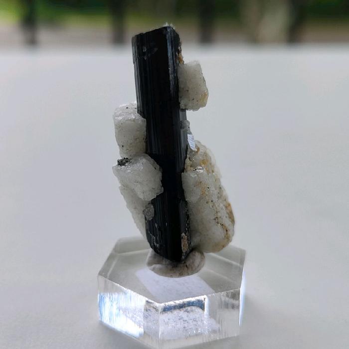 29. Black Tourmaline with Albite