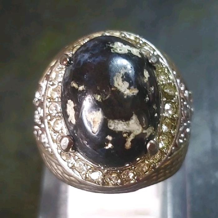 Pirus Hitam Situbondo