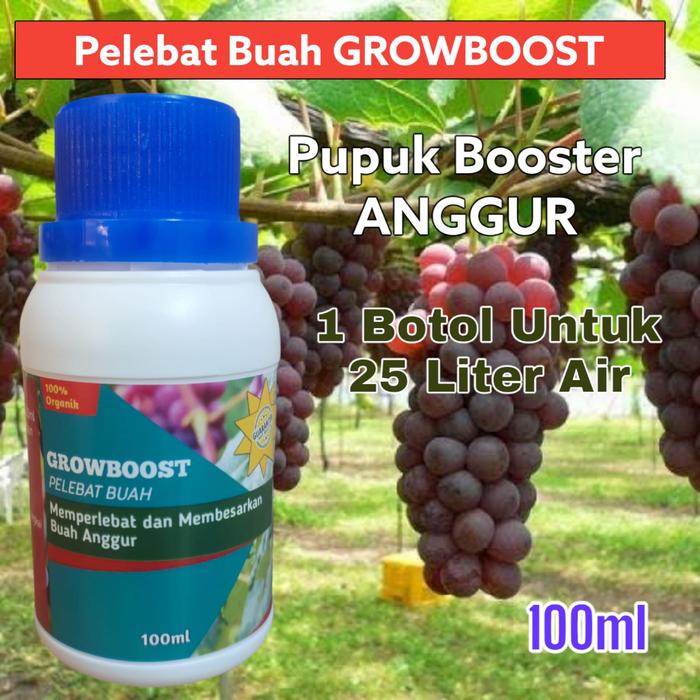 Pupuk Buah Anggur Premium Organik GrowBoost Buah Anggur 100ml