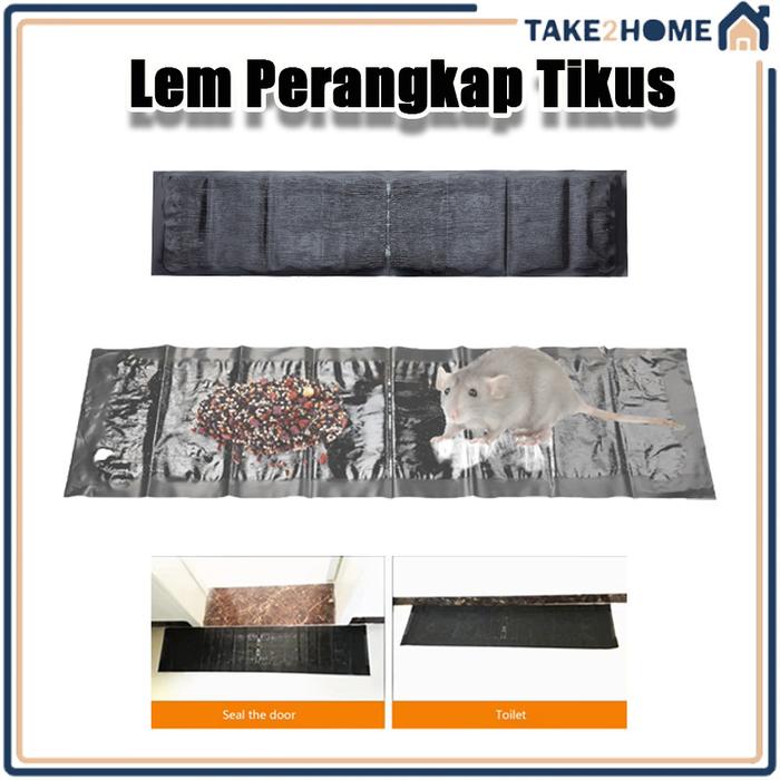 Lem Tikus Kuat/Magic Karpet Lemtikus Besar Jumbo/Tikus Tempelan Tikus