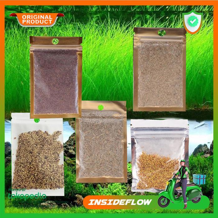 Benih Biji Tanaman Bibit Rumput Aquarium Aquascape Magic Carpet Seed