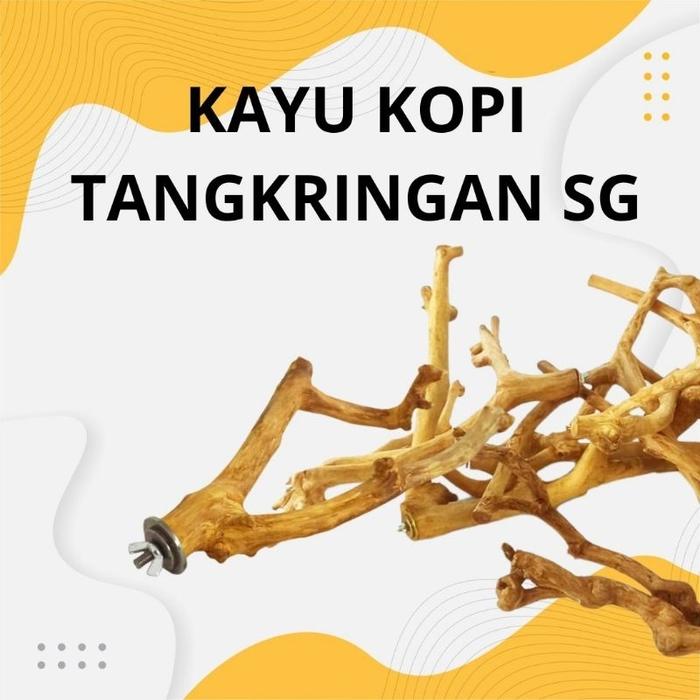 Tangkringan Kayu Kopi Sugar Glider Dan Burung