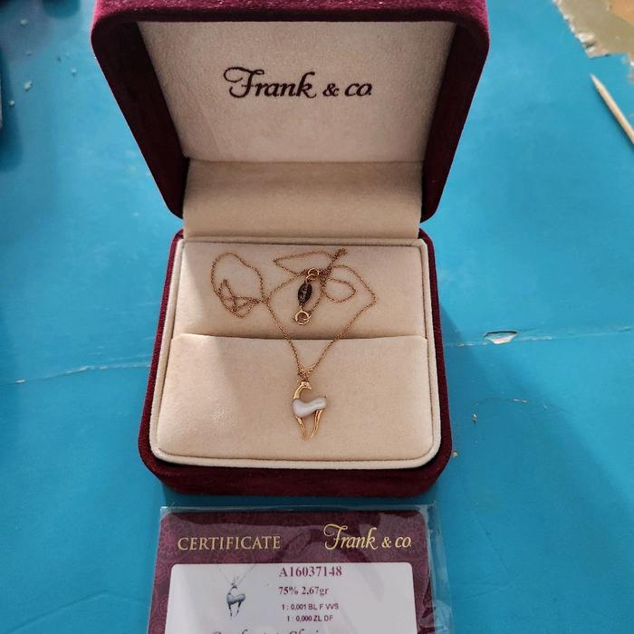 Frank & Co Kalung Bambina Frank N Co A16037148 75% 2.67gr 1.0001 BL F VS 1.0002L DF