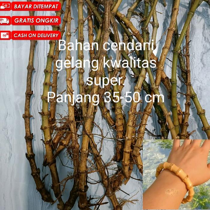 Bahan gelang bambu kuning cendani