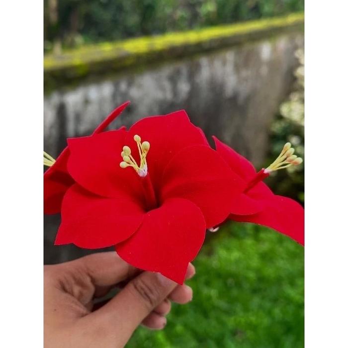 Cucuk Pucuk arjuna beludru