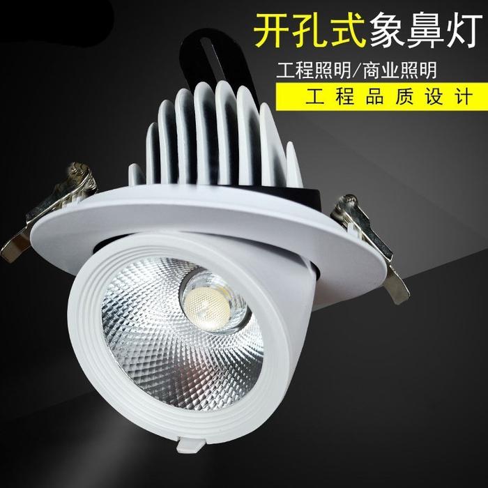 3W 5W 7W 12W 15W 20W 30W 40W Led Trunk Lamp COB Downlight COB LED