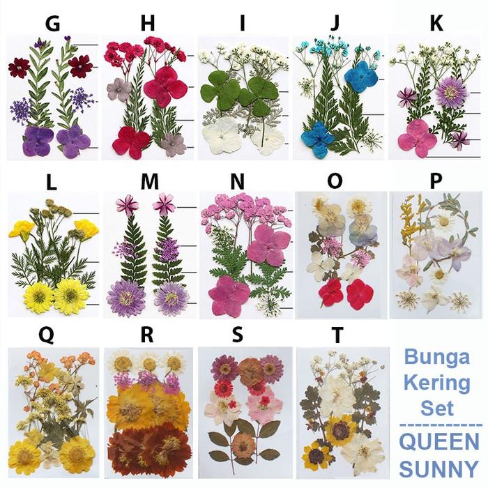 Bunga Kering Set/Real Pressed Flower Mix Natural Dried Topping Resin Casing HP
