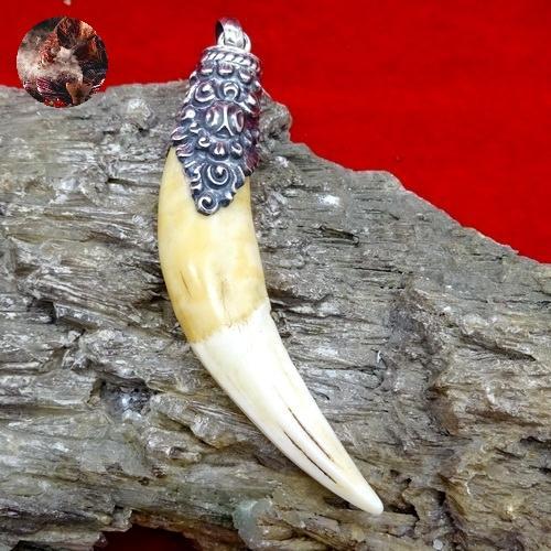 FREE ONGKIR Pusaka Sesepuh Taring Machan Ngurah Asli Tarikan Gunung Keramat
