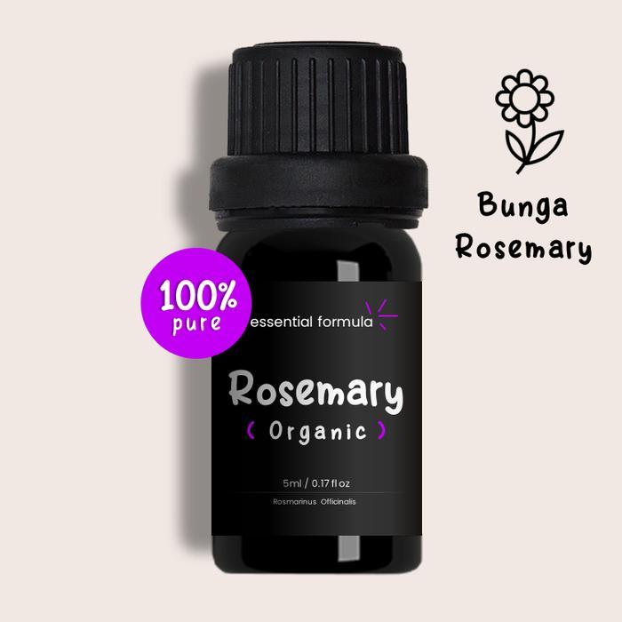{{ Essential Formula Rosemary Minyak Rosemary Murni Eo 100% Ready }}