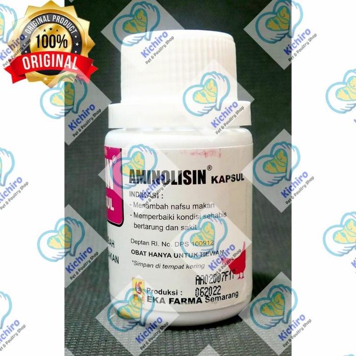 DOPING AYAM ADUAN BIAR GANAS DAN IF FULL DOPING | JAMU AYAM KUDA