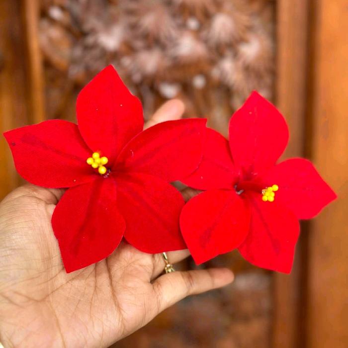 CUCUK PUCUK REJUNA BLUDRU