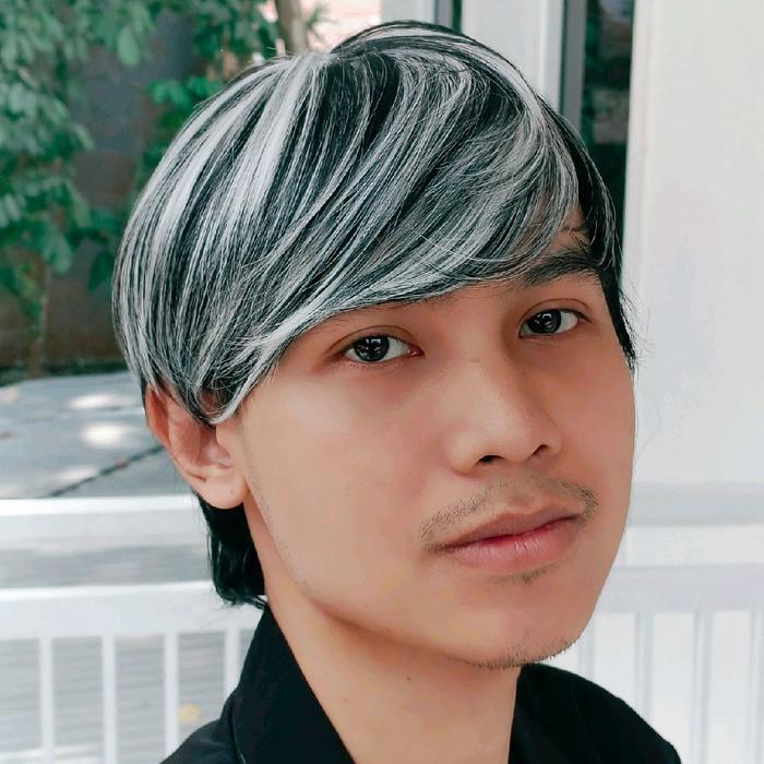 wig pria korea highlight hitam putih keren
