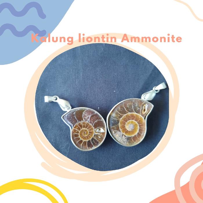 Kalung Liontin Ammonite Terbaru - Unik dan Modern