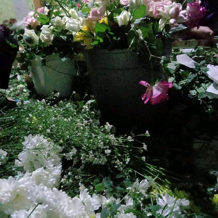 bunga potong , bucket bunga , mawar , aster