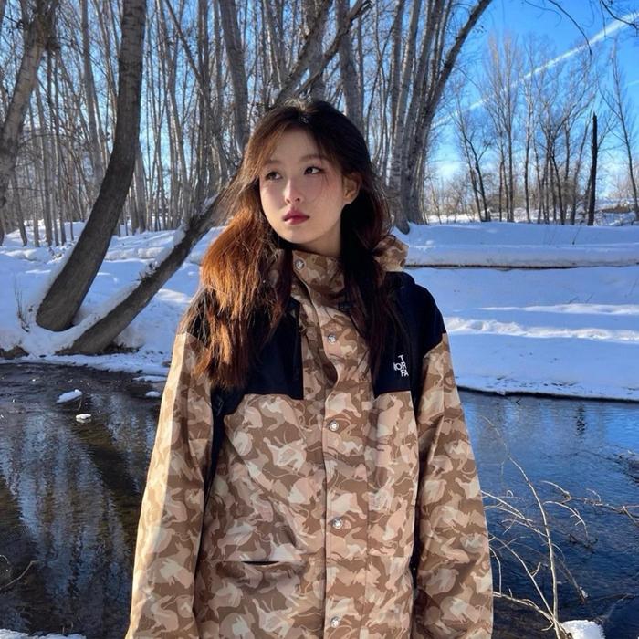 Jacket TNF 86 Retro Mountain Desert Camo