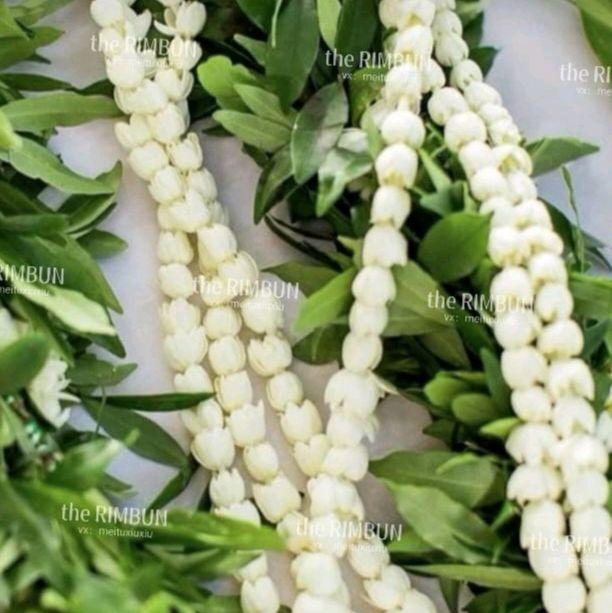 Kalung Melati Asli  fresh dan wangi
