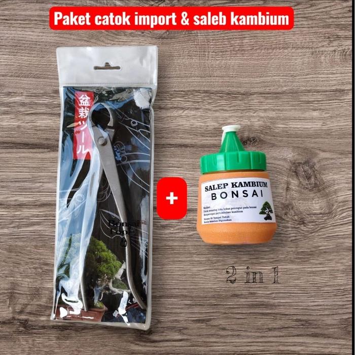 PAKET CATOK BONSAI CEMBUNG IMPORT & SALEP KAMBIUM 200 ML