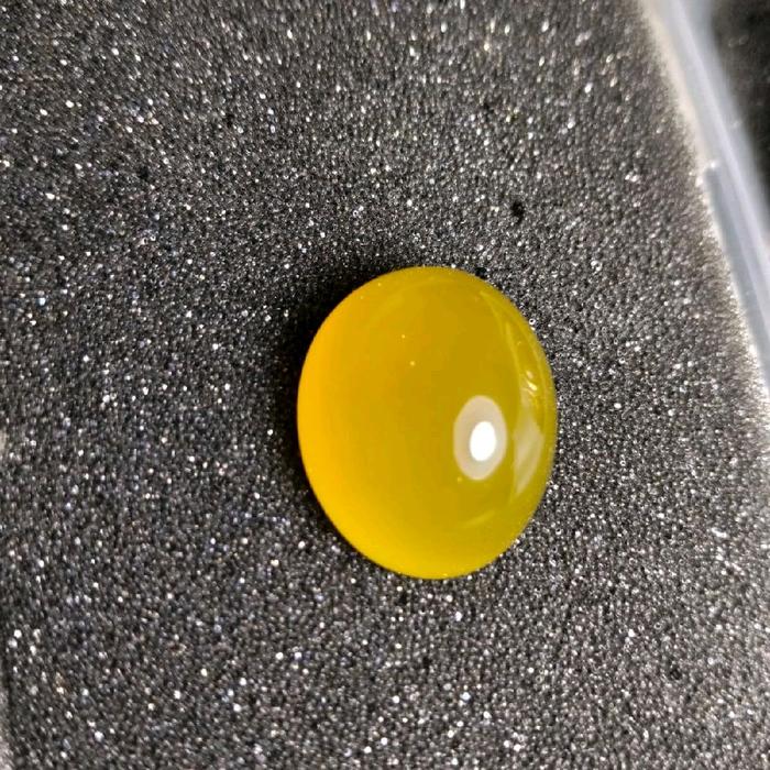 cempaka kuning