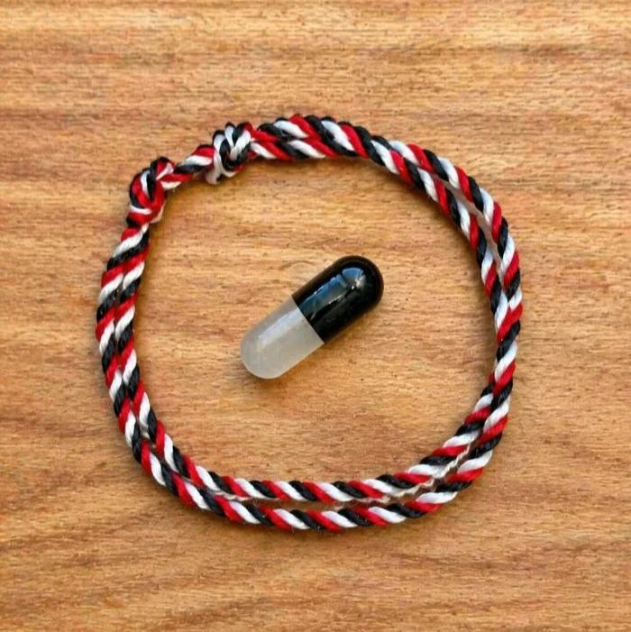 Gelang Burung Elang Free Kartu Panduan