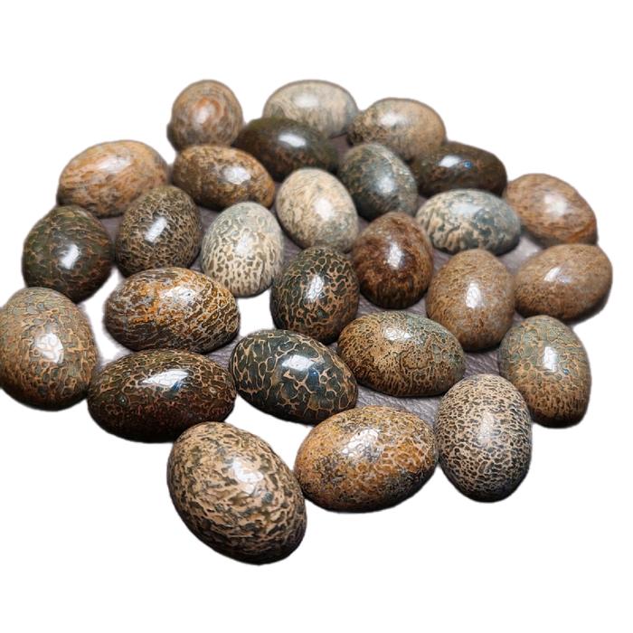 Lostun Batu wisa Natural cirebon /batu anti racun /batu sedot racun