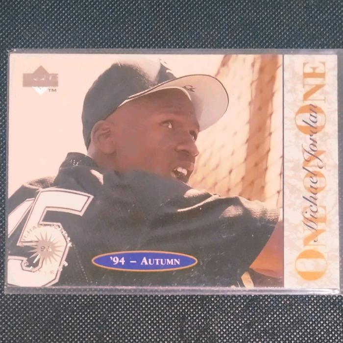 Michael Jordan Baseball Autumn