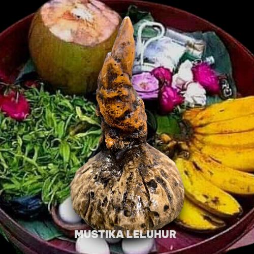 BATU MUSTIKA TUNAS KELAPA ASLI