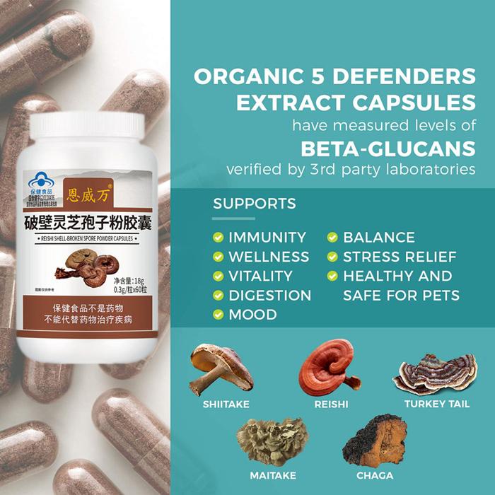 Reishi Ganoderma Lucidum Mushroom and Cordyceps Militaris Sinensis