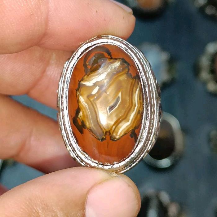 cincin batu akik jamal ati ayam pamor bungkam
