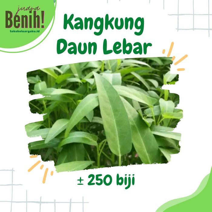 Benih Kangkung Daun Lebar 250 biji Bibit Sayuran Hidroponik Hijau Unggul Rajawali Tanaman Sayur Berk