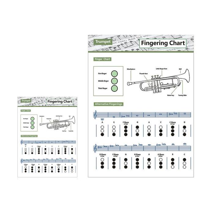 Trumpet Chart Fingering Chart For Trumpet Trumpet Chord Chart Trumpet