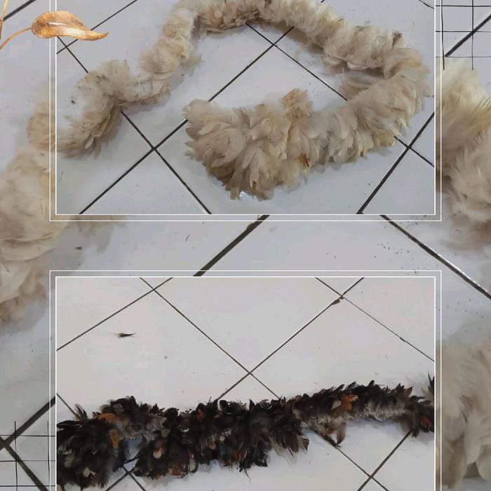 bulu ayam kampung hitam dan putih panjang 1 meter