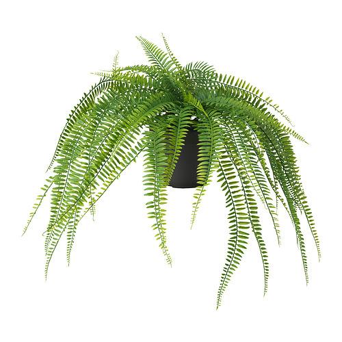 FEJKA Tanaman tiruan dalam pot,  digantung paku pakis, 12 cm