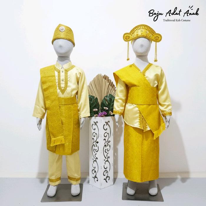 BAJU ADAT RIAU ANAK | PAKAIAN TRADISIONAL KEPULAUAN RIAU | BAJU DAERAH RIAU ANAK LAKI-LAKI | BAJU AD