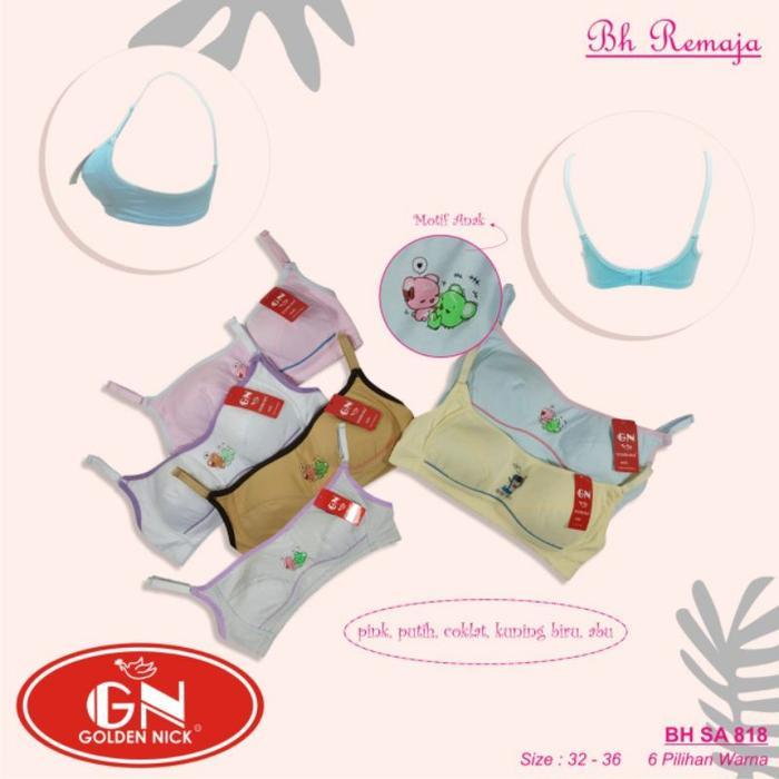 PREMIUM Minibra remaja golden nick 818