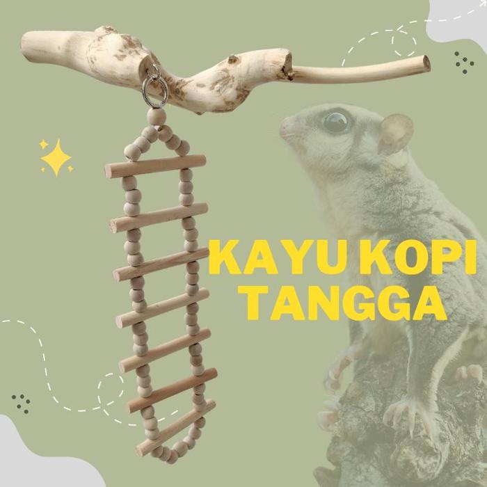 Kayu kopi Tangkringan Sugar Glider + Tangga Gantung