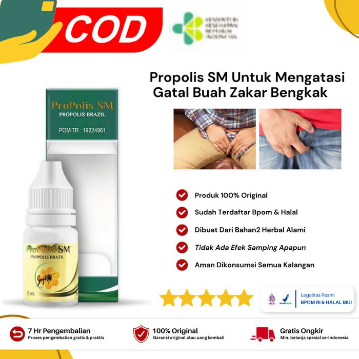 OBAT GATAL BUAH ZAKAR BENGKAK GATAL BENTOL DI BUA ZAKAR NYERI TESTIS DENGAN PROPOLIS SM