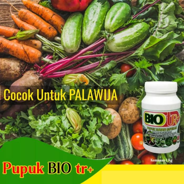 Pupuk Tanaman Buah Dan Pupuk Bunga Organik Kemasan 1 Kg