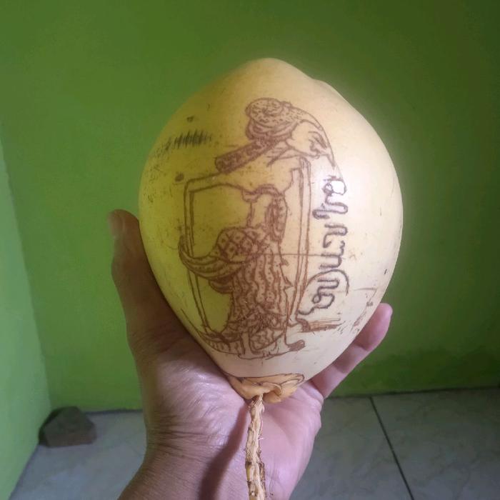 Kelapa Gading Tingkepan (Kambil gading)