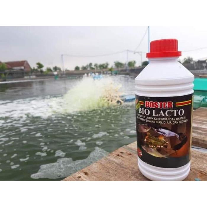 acriflavine hcl obat kuning ikan hias
