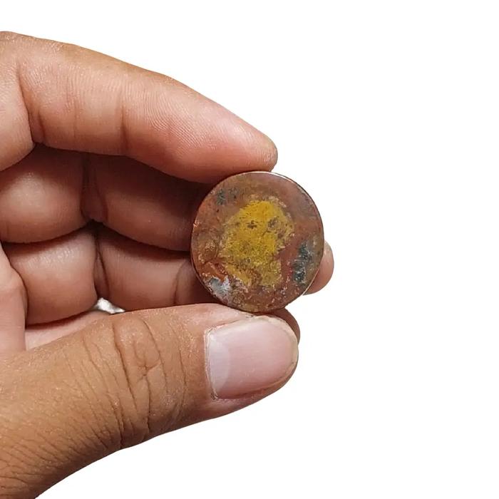 Batu akik gambar hewan batu akik asli batu akik natural