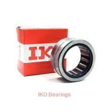 Rna6901 IKO Needle Roller Bearing Rna 6901