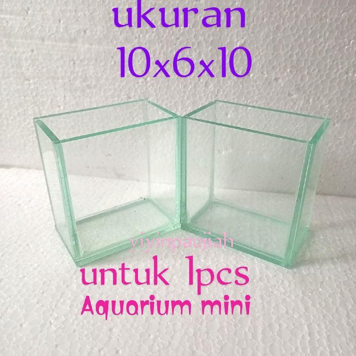 Aquarium Selvi mini/Aquarium ikan cupang 10x6x10/soliter ikan Guppy/ikan hias - -, -