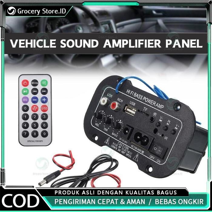 5 Inci 12V 24V 220V Amplifier Ampli Mini Board Audio Bluetooth USB FM Radio TF Player Subwoofer Mobi