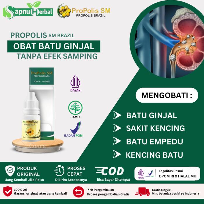 SAPNU HERBAL - OBAT BATU GINJAL, OBAT PENGHANCUR BATU GINJAL, OBAT BATU EMPEDU, OBAT PENGHILANG BATU